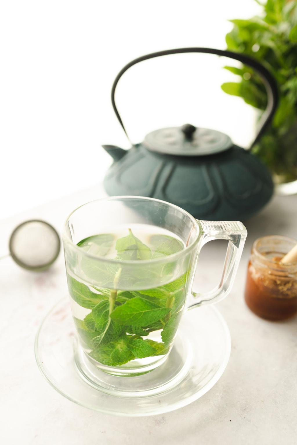 Gut Health